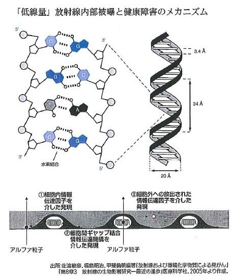 松井英介1