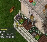 ぽいずん