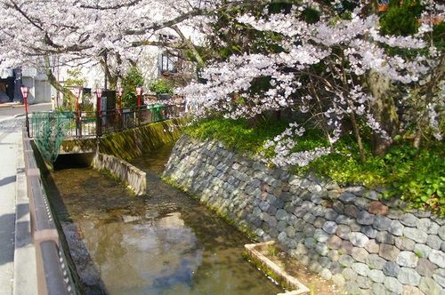 IMGP1413