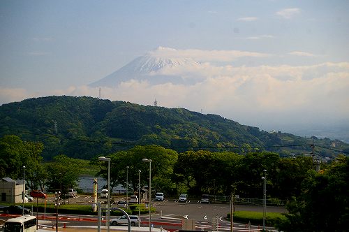 IMGP2105a