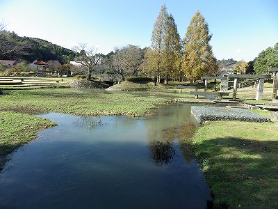 IMGP0653