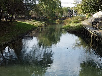IMGP0745