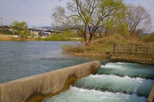 IMGP1556