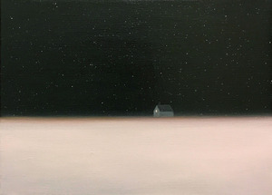 04_雪星
