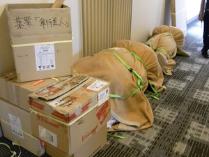 RIMG0222_600