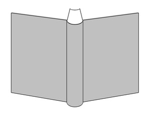 Áí³×Áõ
