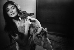 A113-Hepburn-deer