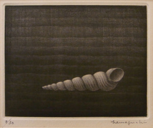 shell_600