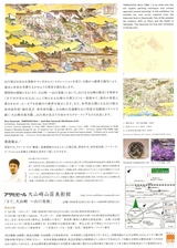山口晃裏