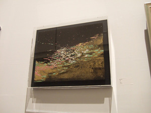 DSCF4849