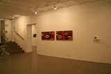 根岸文子マドリッド個展4