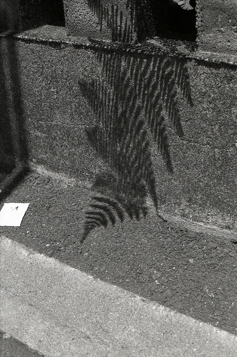 Ningyocho02