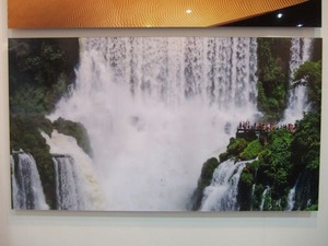 DSCF0252_600
