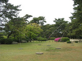 miyaaki1