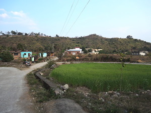 DSCN6103