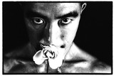 細江英公「薔薇刑#32、1961」600
