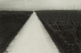 ueda_whiteroad