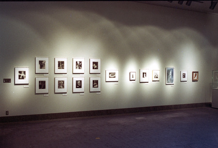 manray10-2