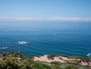 Malibu1104_007