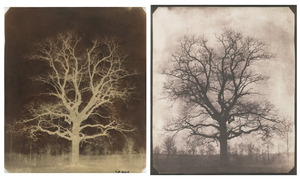 talbot-photo