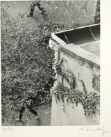 Kertesz_promnade