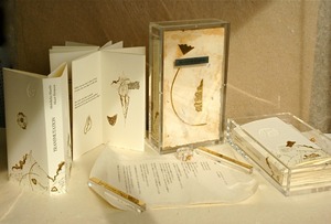 TRANSMUTATION BOX-2