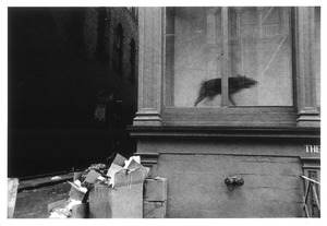 1 SOHO¡¡¸¤