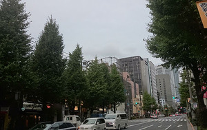 白山通り