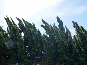 Malibu1104_009