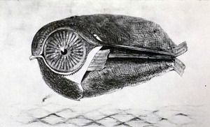 ernst10