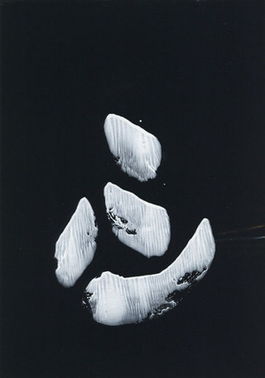 041