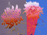 cb3d0144.jpg