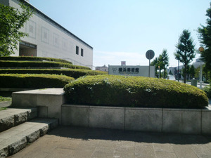 CIMG5785