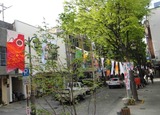 20110501鯉アートのぼり2