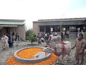 DSCN6121
