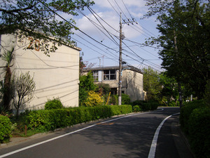 PHOTO13