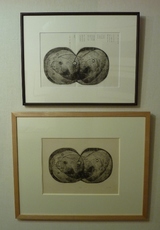 駒井展示14