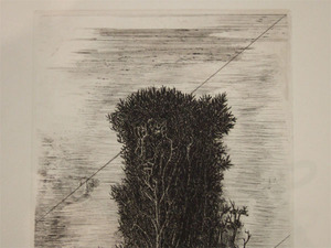 DSCF8152_600