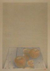 野田哲也3