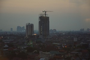 DSC_1446