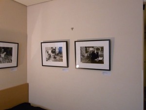 RIMG0265_600