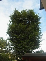 R0015116