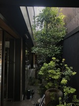 1535620169078