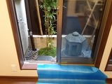 20190212_100802