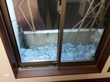 20190212_081453