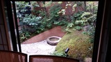 20180712_111152