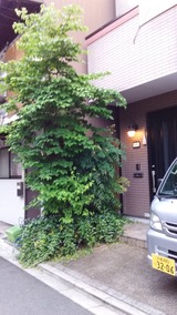 20180612_181957