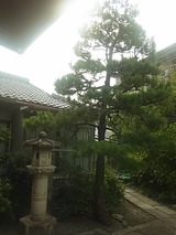 R0015111