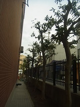 R0015087