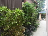 R0015117